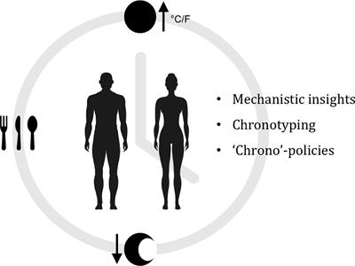 Exploiting the Circadian Clock for Improved Cancer Therapy: Perspective From a Cell Biologist